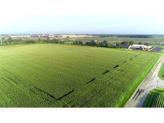 Tillable & Wooded Farmland in Allen County, Indiana - LAND AUCTION - 184+/- ACRES OFFERED IN 3 TRACTS IN ALLEN COUNTY, INDIANA